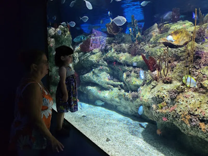 North Carolina Aquarium at Fort Fisher