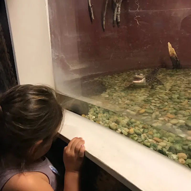North Carolina Estuarium