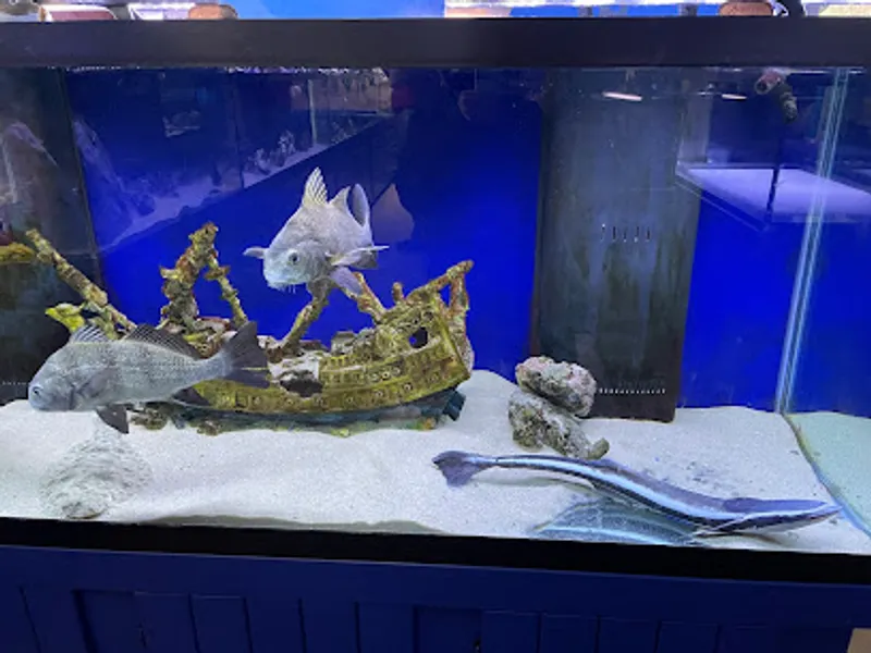 Glen Echo Park Aquarium
