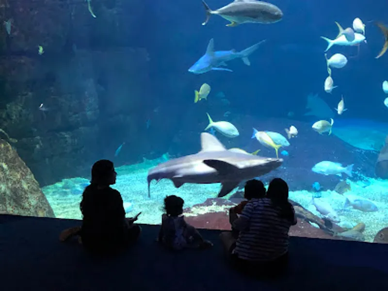 Virginia Aquarium & Marine Science Center