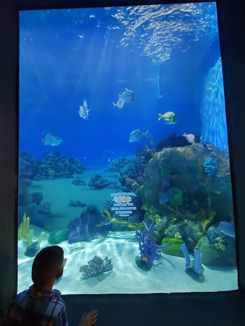Jenkinson's Aquarium