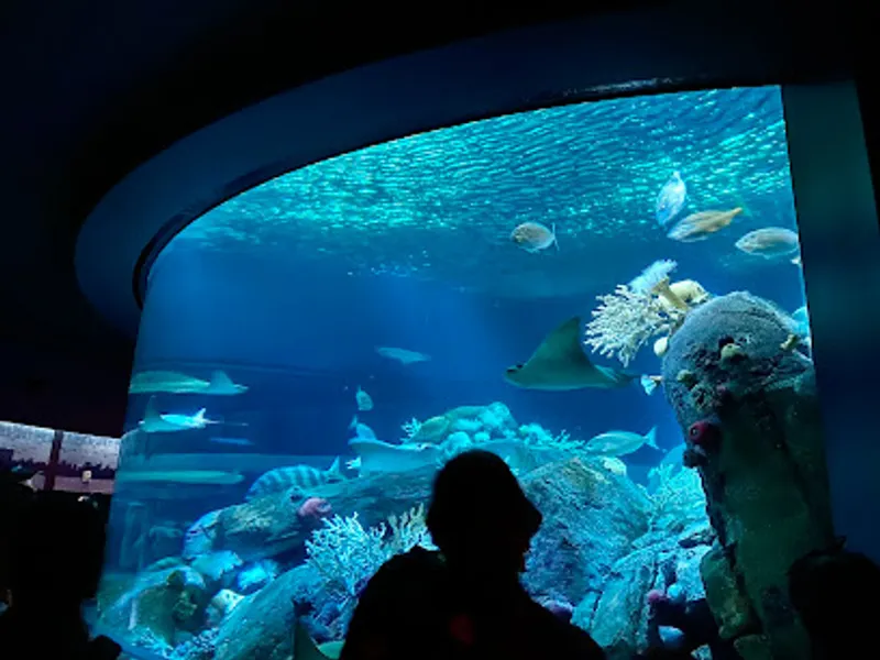 New York Aquarium