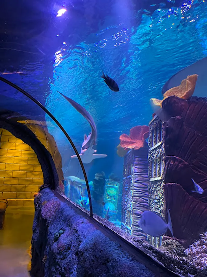 SEA LIFE New Jersey Aquarium
