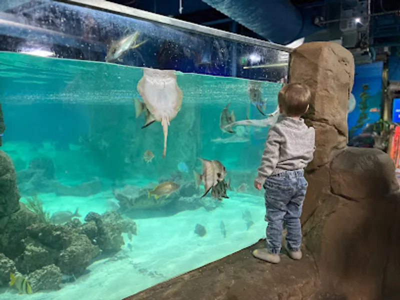 Woodbridge Aquarium & Wildlife