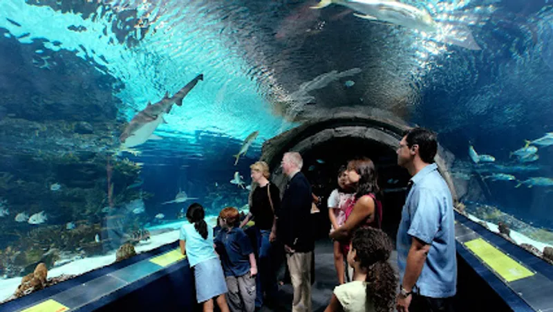 Adventure Aquarium