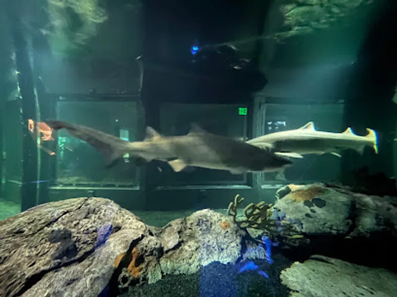 Marine Mammal Pavilion
