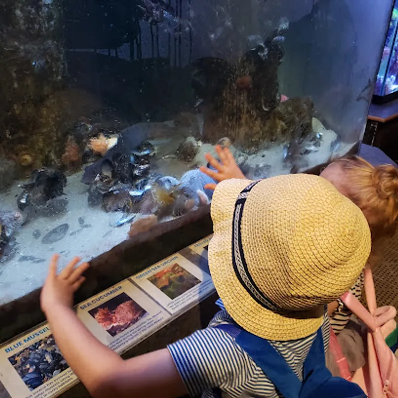 Seacoast Science Center