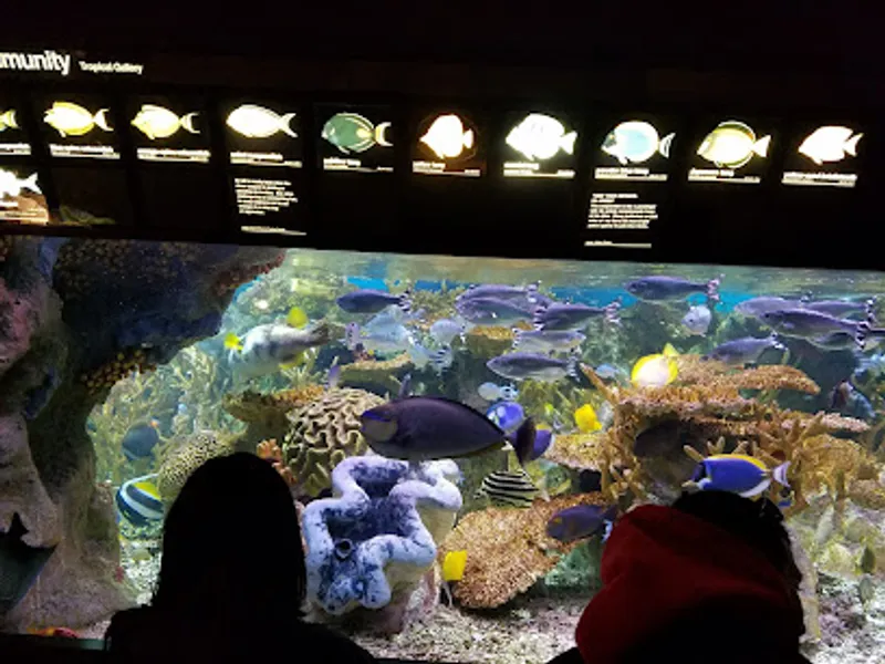 New England Aquarium