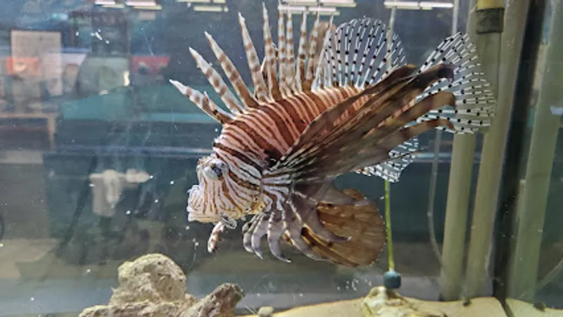 Biomes Marine Biology Center