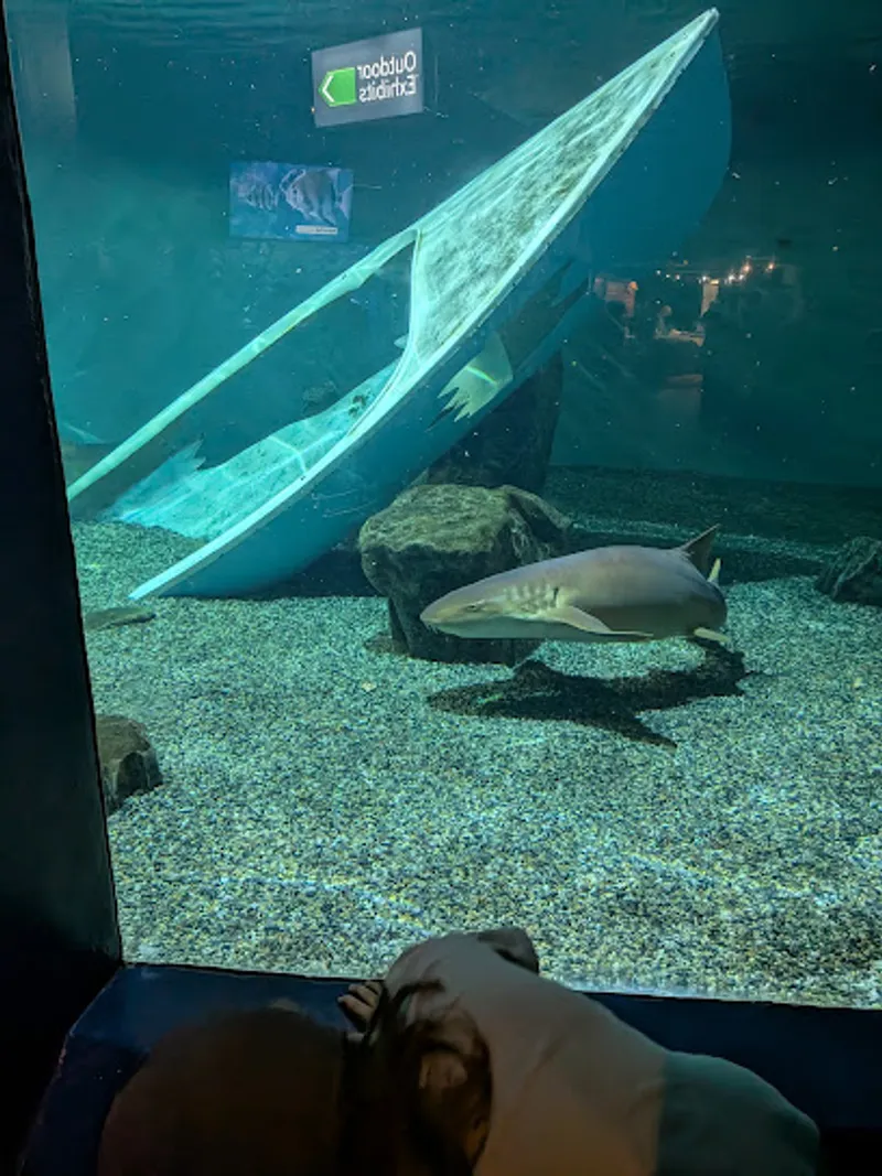 Mystic Aquarium