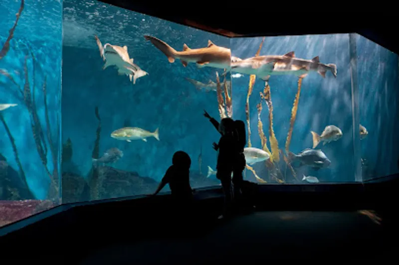The Maritime Aquarium at Norwalk