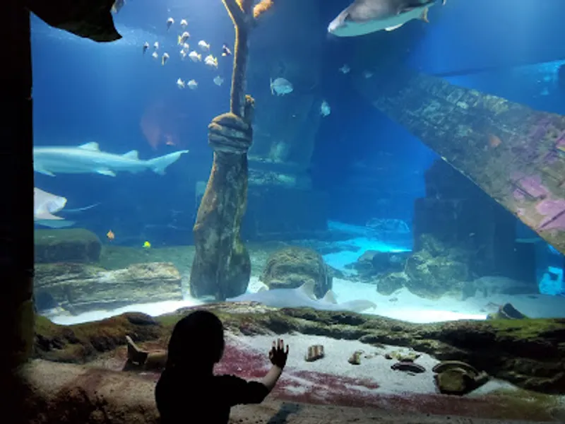 Long Island Aquarium